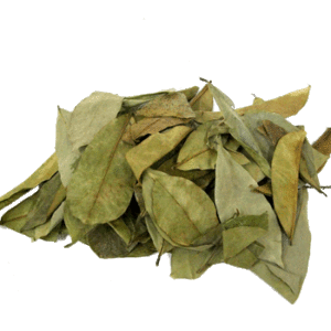 Graviola tea - loose leaf 50g