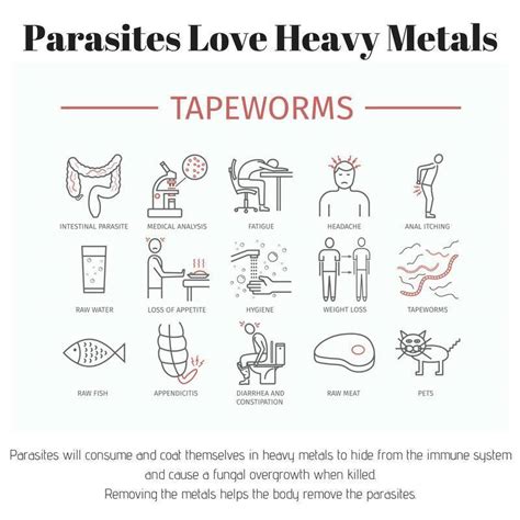 Buy TRS (All Toxin - Heavy Metal - Removal System)